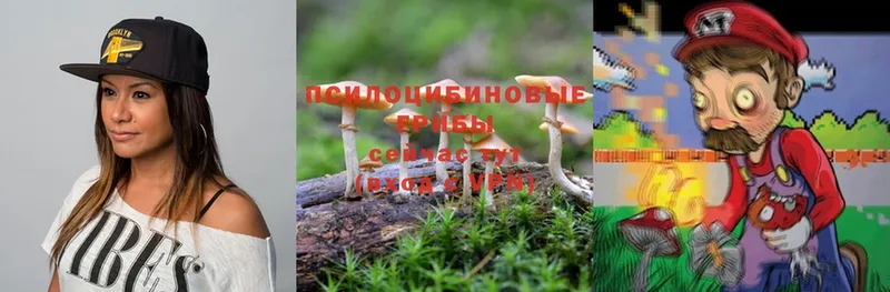 Псилоцибиновые грибы MAGIC MUSHROOMS  это телеграм  Светлоград 